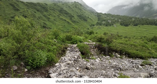 Beautiful Scenic Natural Landscape Views From Valley Of Flowers National Park India