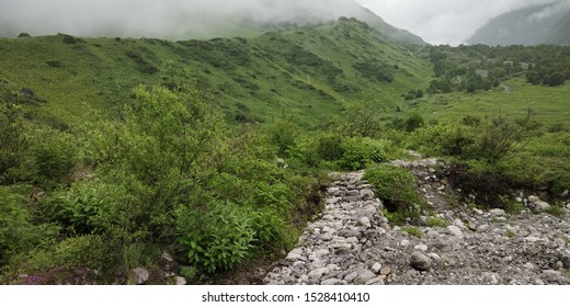 Beautiful Scenic Natural Landscape Views From Valley Of Flowers National Park India