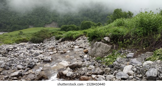 Beautiful Scenic Natural Landscape Views From Valley Of Flowers National Park India