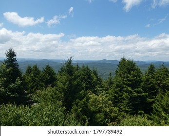 Beautiful And Scenic View Atop Spruce Knob (West Virginia's Highest Point) With Red Spruce Trees (Picea Rubens).