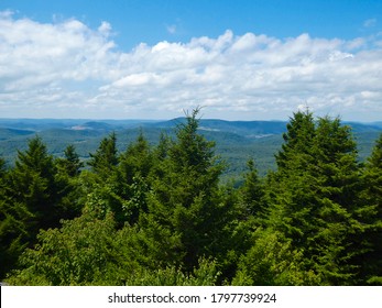 Beautiful And Scenic View Atop Spruce Knob (West Virginia's Highest Point) With Red Spruce Trees (Picea Rubens).