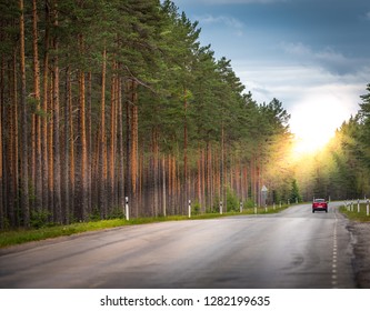 Beautiful Scenic View Of Lonely Car Driving Along Desert Asphalt Road Lined With Trees, Forest Of Pines, Nordic Landscape In Summer, Solar Effect. Lahemaa National Park, Estonia. Forest Background