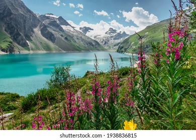 Beautiful Scenic View Of Mountain Lake And Wild Flower.Hike To The Mooserboden Dam In Austrian Alps.Quiet Relaxation Outdoors.Wonderful Nature Landscape,turquoise Tranquil Water,holiday Travel Scenery