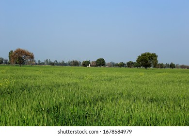 3,783 Haryana Day Images, Stock Photos & Vectors | Shutterstock