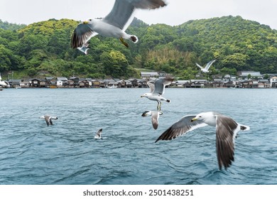 Beautiful scenic view with the wooden traditional waterfront boat houses called funaya and seagulls flying above the waters of Ine Bay, in the village Ine, Japan - Powered by Shutterstock