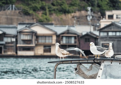 Beautiful scenic view with the wooden traditional waterfront boat houses called funaya around Ine Bay, in the village Ine, Japan. Seagulls on a fishing boat. - Powered by Shutterstock