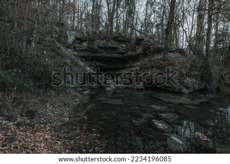 Beautiful scenic views of a natural spring in Kimball, TN
