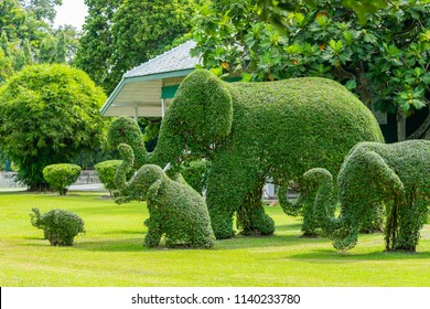 436 Animal shaped shrubs Images, Stock Photos & Vectors | Shutterstock