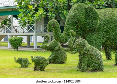 436 Animal shaped shrubs Images, Stock Photos & Vectors | Shutterstock