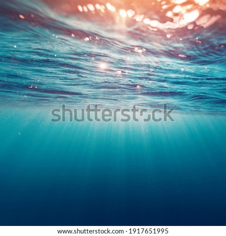 Beautiful Sea, Cool Underwater View 