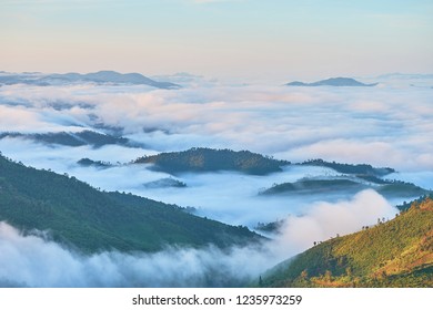 The beautiful sea of fog in spring. - Shutterstock ID 1235973259