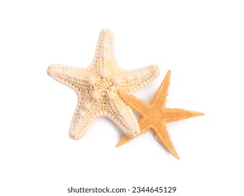 Beautiful sea stars (starfishes) isolated on white, top view