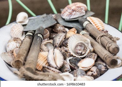 Beautiful Seashell Composition, Gathered During Summer Vacation In Europe. Oceanic Eco System, Wild Life Fauna, Sustainable Travel Acitivities, Biologist Habits. The Beauty Of Nature, Spring Concept. 