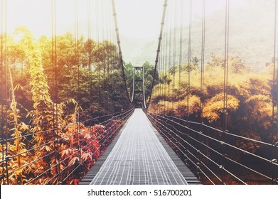 Beautiful Season Change Forest And Sunlight, With Steel Suspension Bridge At Foggy Day In The Morning, Vintage Tone