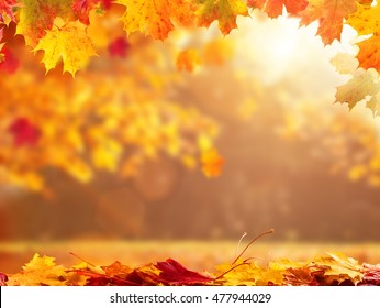 Beautiful seasonal abstract autumn background with copyspace and falling leaves - Shutterstock ID 477944029