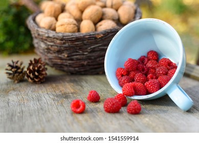 Beautiful seasonal arrangement with harvested raspberries in blue mug and walnuts in wicker basket. Old wooden table, pine cones. - Powered by Shutterstock