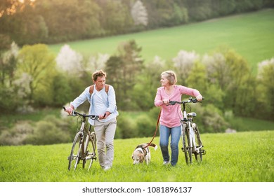 Beautiful Senior Couple With Bicycles And Dog Outside In Spring Nature.