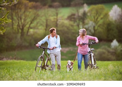 Beautiful Senior Couple With Bicycles And Dog Outside In Spring Nature.