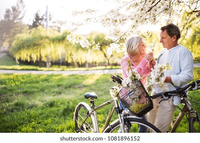 Beautiful Senior Couple With Bicycles Outside In Spring Nature.