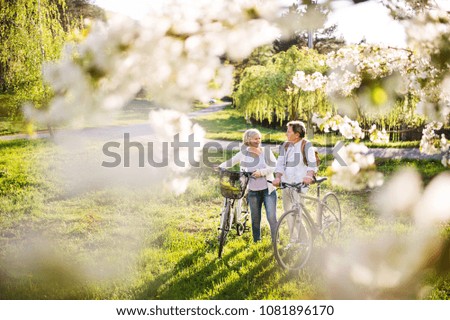 Similar – tree and bicycle Summer