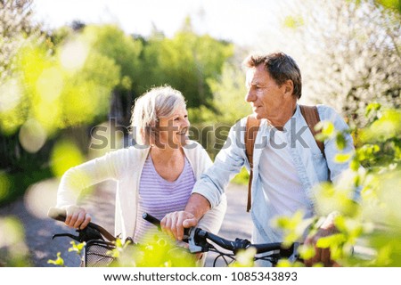 Similar – tree and bicycle Summer