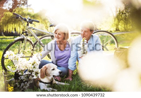 Similar – tree and bicycle Summer