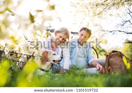 Similar – tree and bicycle Summer