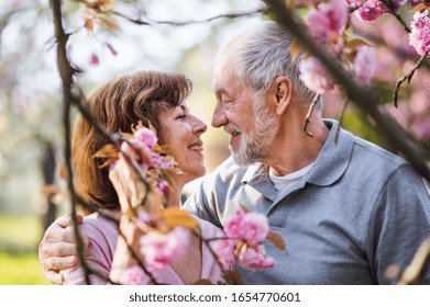 Beautiful Senior Couple In Love Outside In Spring Nature, Talking.