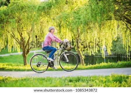 Similar – tree and bicycle Summer