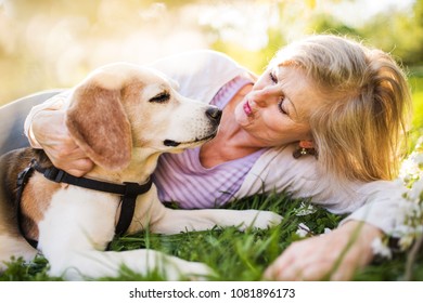 Beautiful senior woman with dog in spring nature. - Powered by Shutterstock