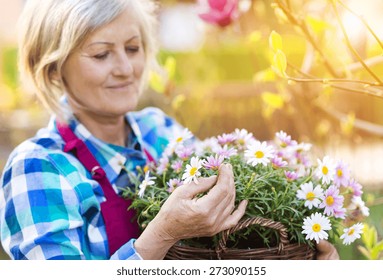 Beautiful Senior Woman Planting Flowers In Her Garden