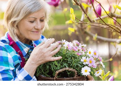 Beautiful Senior Woman Planting Flowers In Her Garden