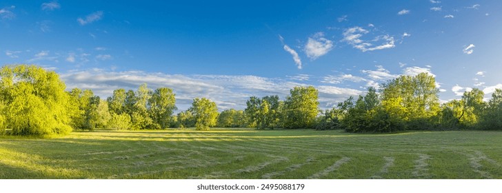 Beautiful serene nature in public park, green sunset meadow. Panoramic natural beauty landscape, giant oak tree, green forest trees background foliage. Sunny tranquil calm environment day recreational - Powered by Shutterstock