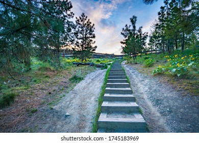 A Beautiful Set Of Stairs On An Okanagan Hiking Trail On Knox Mountain