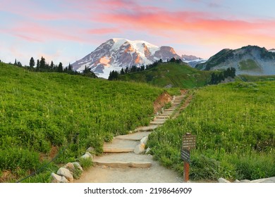 A beautiful set of stone stairs along the Skyline Trail in Mt Rainier National Park at sunrise. The 5.5 mile trail in Paradise area provides splendid view of Mt Rainier, Washington USA.  - Powered by Shutterstock