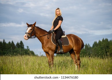 7,605 Blonde horse rider Images, Stock Photos & Vectors | Shutterstock