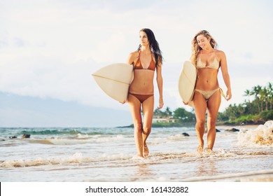 Beautiful Sexy Surfer Girls on the Beach at Sunset