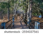 Beautiful shadowed boardwalk path lined with evergreen trees along the Gooseberry River on a cool fall, autumn day at Gooseberry Falls State Park in Two Harbors, Minnesota USA.