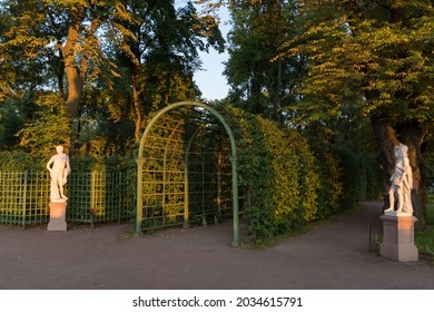 Beautiful shady alleys entwined with climbing bushes with benches and sculptures in Summer Garden. Sankt Peterburg, Russia