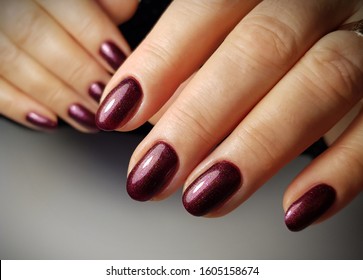 Beautiful Shellac Manicure On Female Hands