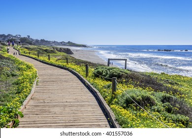 Beautiful shimmering blue sea & white water waves crashing on Moonstone Beach, while people are enjoying a walk / stroll on the boardwalk / beach & beautiful yellow flowers abound, near Cambria, CA - Powered by Shutterstock
