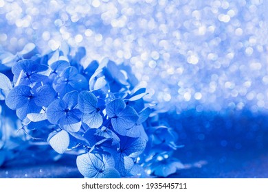 Cute Abstract Blue Flower Blue Flower Wallpaper Background Blue Photo Background Wallpapers Images