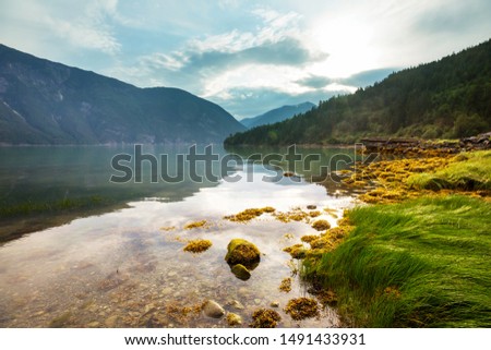 Similar – Image, Stock Photo sundowner Nature Landscape