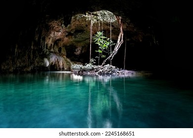 A beautiful shot of a cave of Two Eyes Cenote in Tulum Mexico