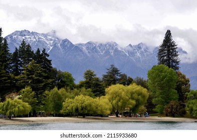 A Beautiful Shot Of A Forest Near The Remarkables Mountains In Queenstown, New Zealand