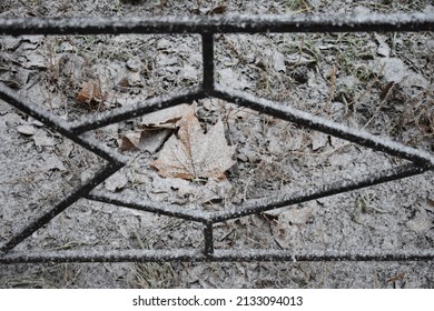 A beautiful shot of a frozen metallic fence with autumn leaves on a background