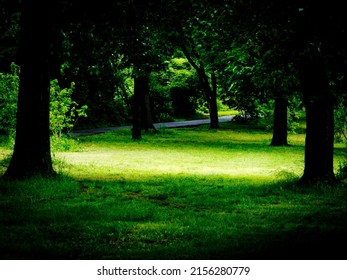 A Beautiful Shot Of The Green Area On The Greenway Bike Path In Manhattan