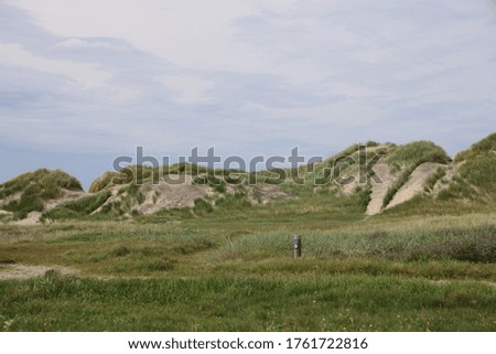 Similar – Foto Bild Hallig Gröde | Seniorin im Abendlicht an einem Steg in den Salzwiesen