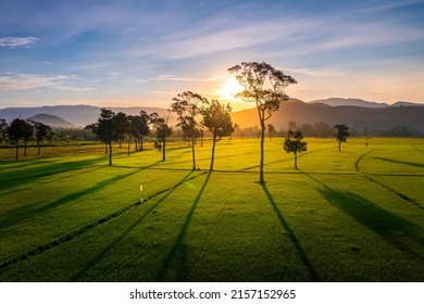 8,737 Hillside plantation Images, Stock Photos & Vectors | Shutterstock