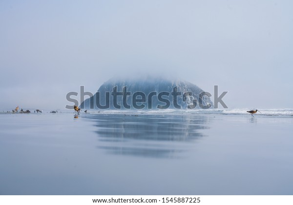 A
beautiful shot of an iceberg in the ocean with some birds standing
in the water and the foggy sky in the
background